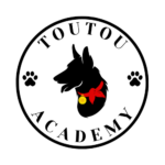 TOUTOU-ACADEMY