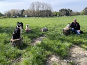 chien-forêt